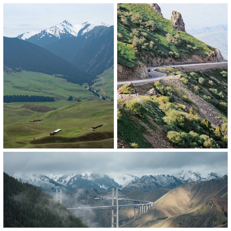 1585021487726548.jpg Collage_Fotor.jpg