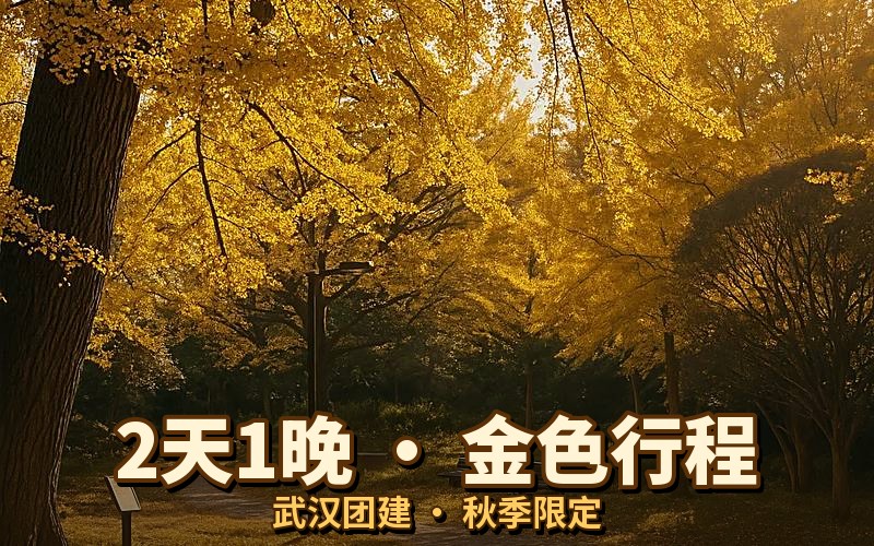 银杏谷林间步道