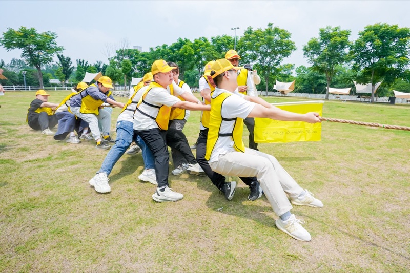 武汉一日团建方案合集（黄陂 / 蔡甸 / 江夏）